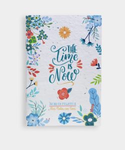 Mini Notes The Time is Now